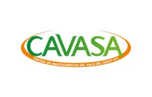 vavasa